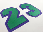 2 Color Tackle Twill Numbers
