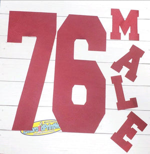 Youth Tackle Twill Pro Name + Numbers Kit for Jerseys